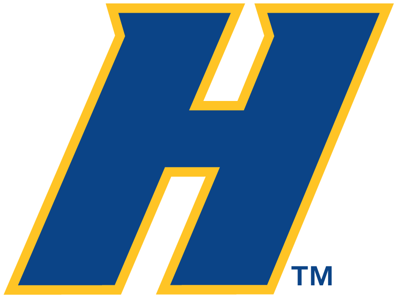 Hofstra Pride 2005-Pres Alternate Logo t shirts iron on transfers